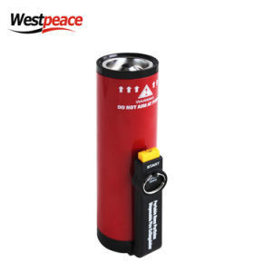 Chemical Agent Dry Powder Type 1kg Fire Extinguisher with CCC CE Rina Certificate